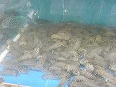 -源海渔村·现捞海鲜(大角湾店)