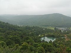 -大姆山草场