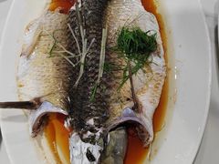 -旭璟酒家·传统粤菜·湘菜(逸景路店)