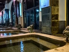 -乳源丽宫国际温泉酒店