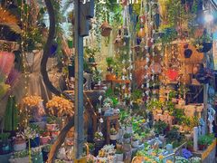 -循礼门鲜花花市(武汉循礼门店)