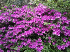 -宝岩生态观光园