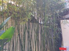 -筑艺咖啡