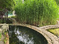 -活水公园