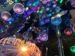 -梵高星空艺术馆(北京旗舰店)