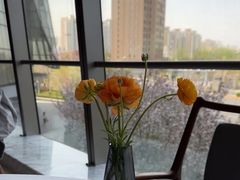 -粤界(望京金辉店)