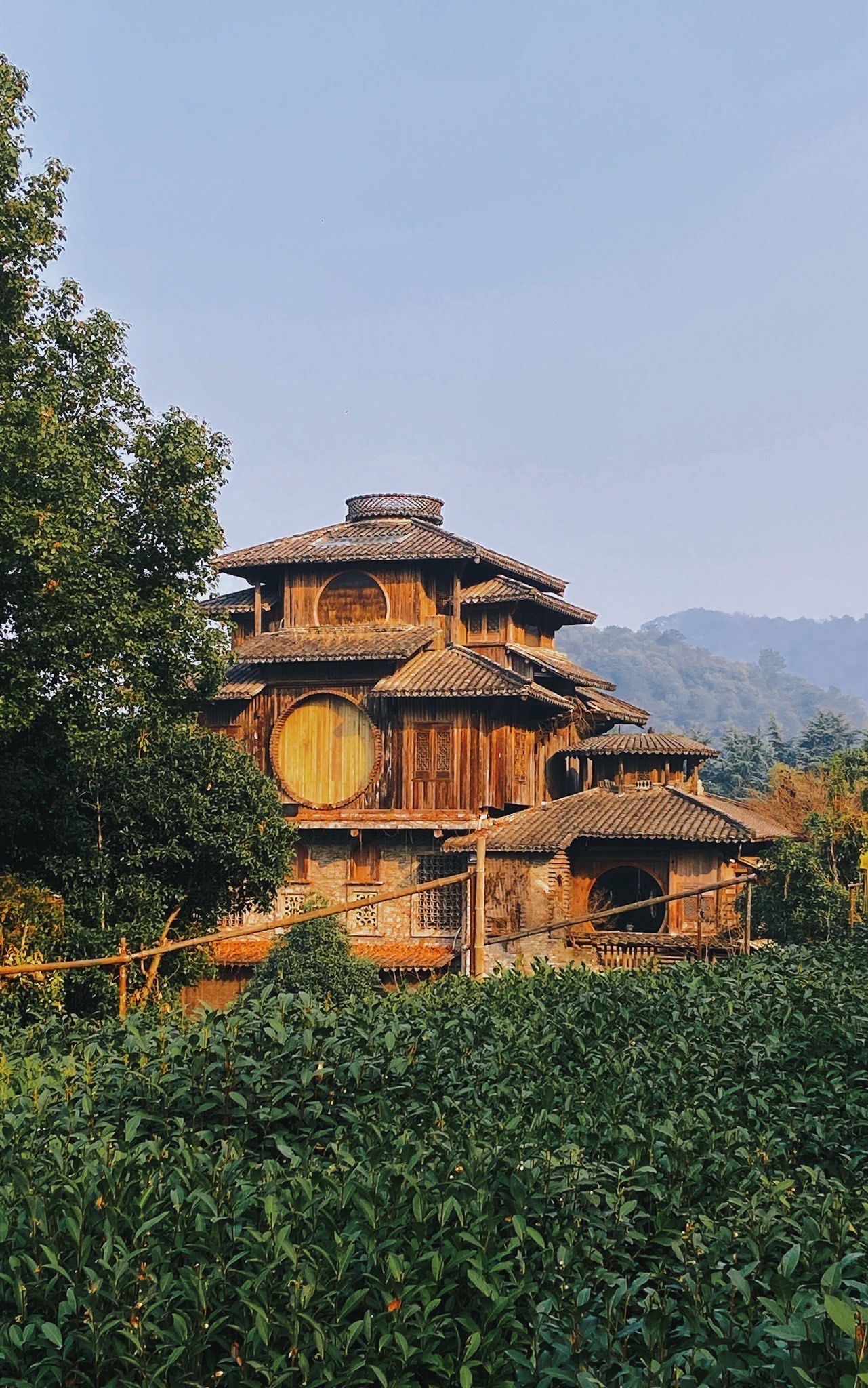 宫崎骏汤屋茶园
