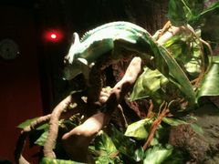 -多彩贵州城极地海洋世界