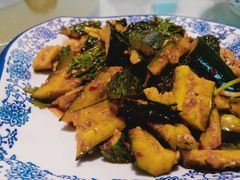 拍黄瓜-阿鹏故事云南野生菌火锅(人民路店)