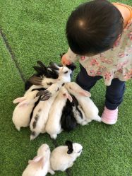 -萌宠亲子动物乐园(槐房万达店)