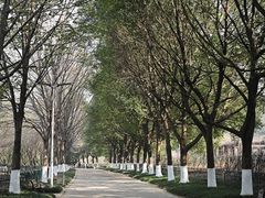 -幕燕滨江·长江观音景区