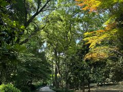 -杭州植物园