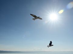 -青海湖国家重点风景名胜区