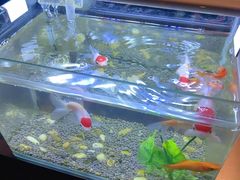 -华夏良子·足道SPA艾灸(王府井店)
