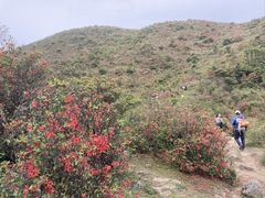 -广东天露山旅游度假区