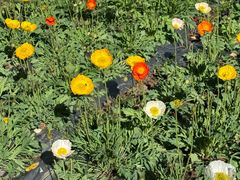 -名花谷生态庄园