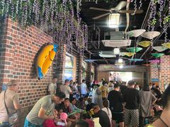 -将军关探险漂流