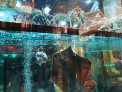 -金翠皇宫粤菜·点心·海鲜(科技园店)