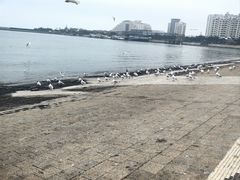 -日照世帆赛基地