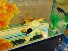 -中国建设银行(大连商品交易所支行)