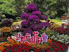 -广州市白云山风景名胜区