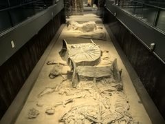 -北京大葆台遗址博物馆