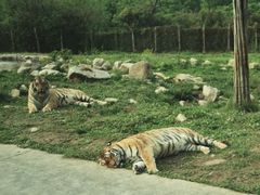 -西安秦岭野生动物园