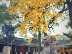 -西园戒幢律寺