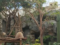 -香港海洋公园