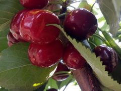 -小黑石海滨浴场·停车场