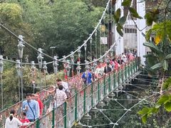 -西双版纳原始森林公园