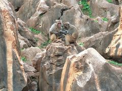 -昆明动物园