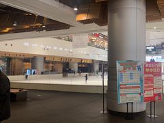 -TheRink大零溜冰场(IFS国金中心店)