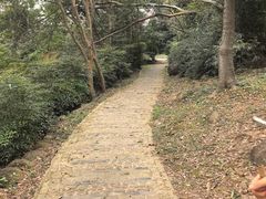 -南京市江宁方山