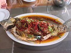 -微山岛春天里酒家
