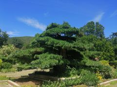 -国家植物园南园