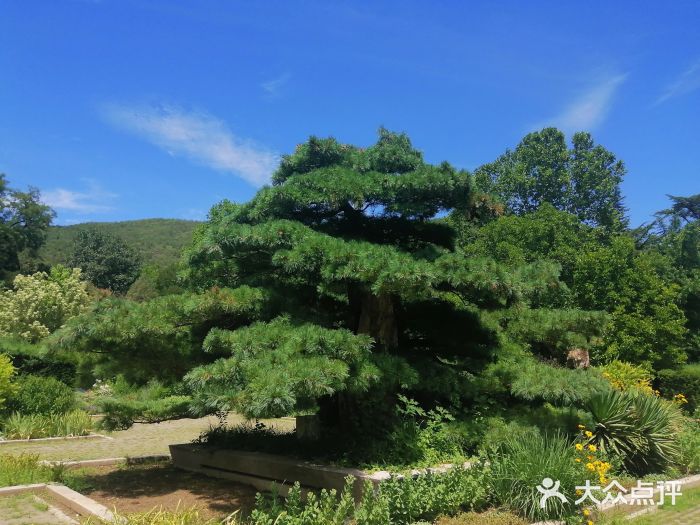 国家植物园南园图片