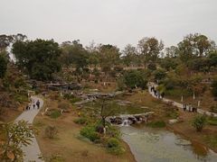 -东莞植物园