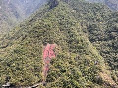 -君之狮子山·轻糖烘焙(松江印象城店)