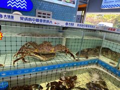 -大锅强·蒸海鲜青岛菜(金沙滩店)