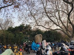 -杭州黄龙洞