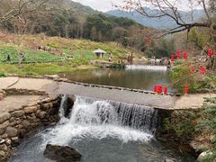 -广州市石门国家森林公园