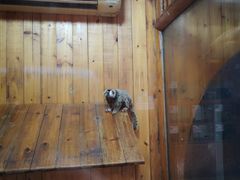 -上海大自然野生昆虫馆(东方明珠·爬宠昆虫探索中心)