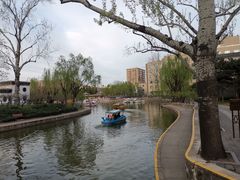-团结湖公园