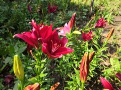 -长春公园(普阳街道)