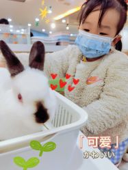 -Moni星球萌宠·小马宝莉·灵蛇·高端高阶全萌宠互动体验俱乐部(红豆国际广场店)