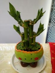 -蕾特恩专业祛痘国际连锁