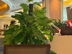 -旌湖国际酒店.自助餐