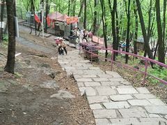 -帽儿山风景区