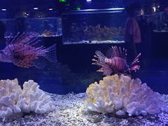 -海合安天津极地海洋公园